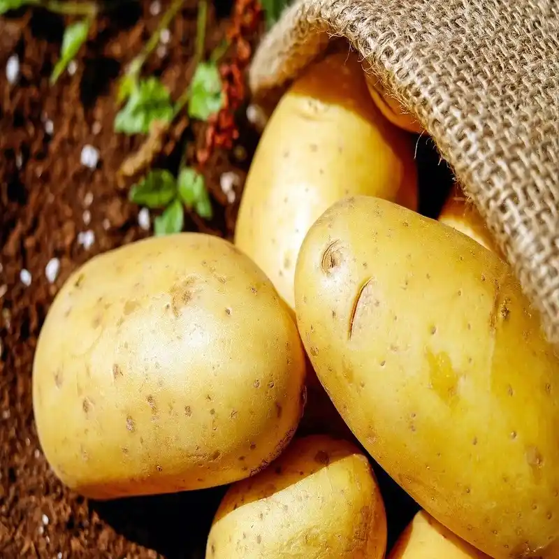 Potatoes – 1 KG